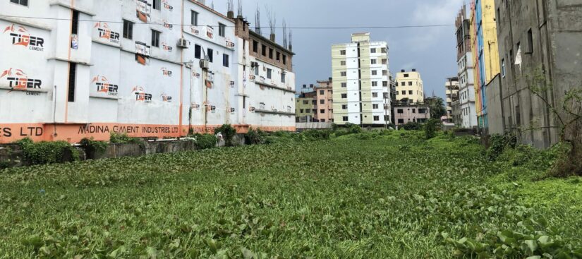 A vacant land full with grass and surrounded by buildings. 